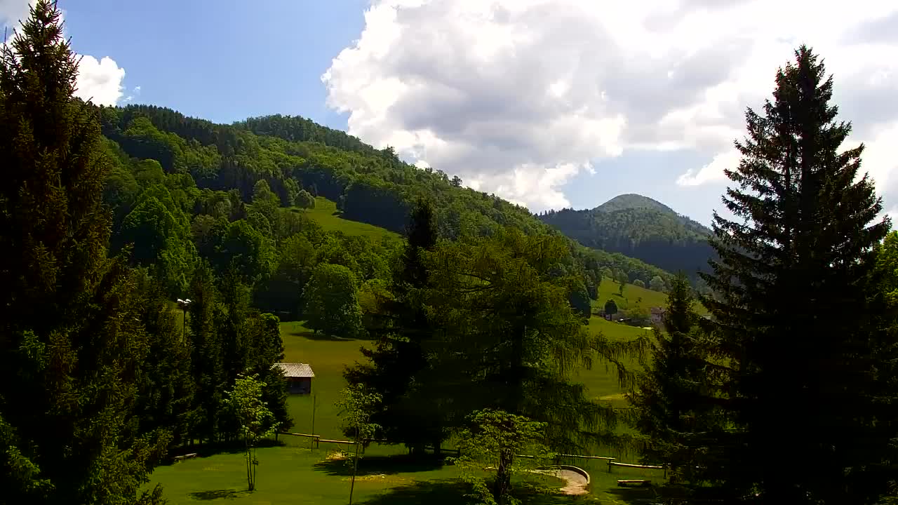 Webcam Loqua / Lokve – La bellezza della selva di Tarnova