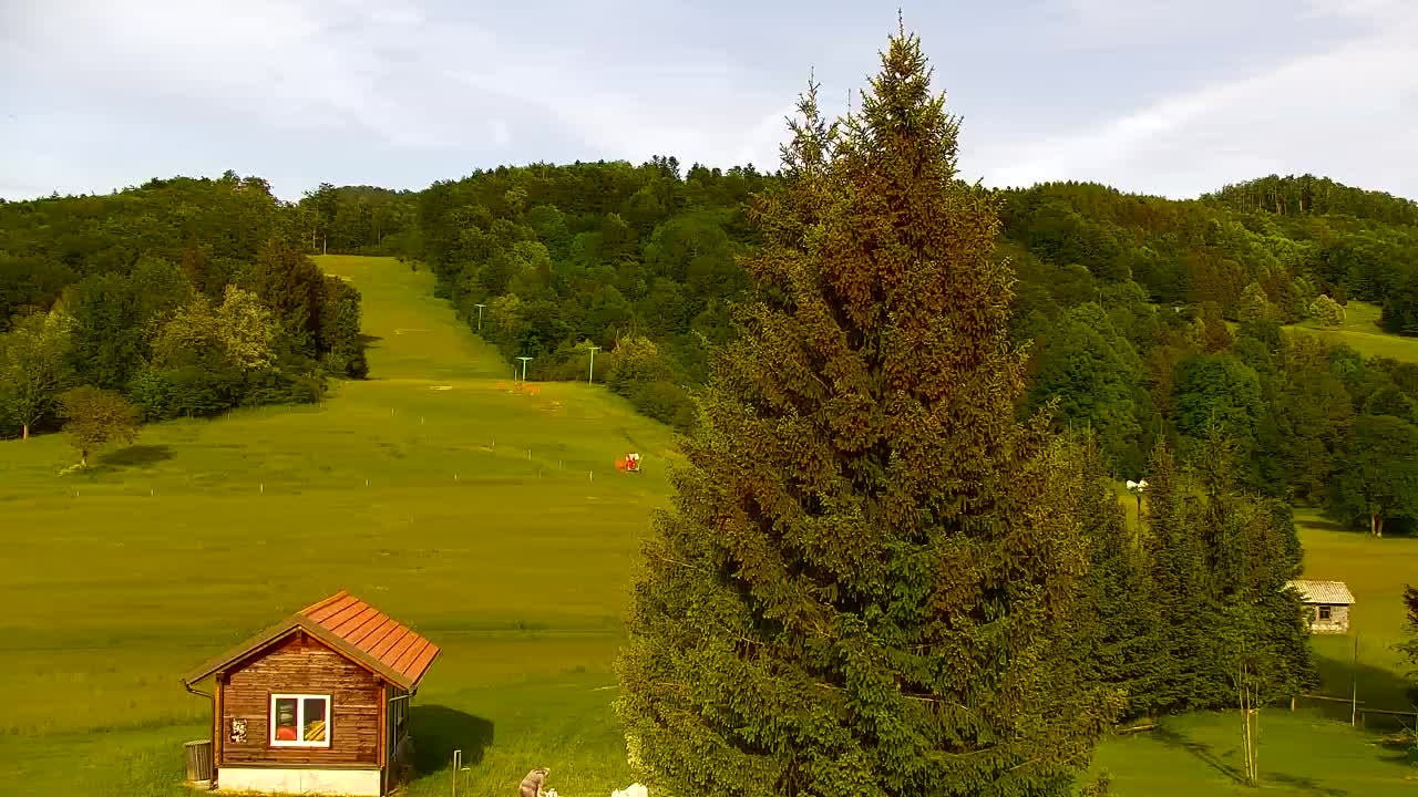 Webcam Lokve – The beauty of the Trnovo forest