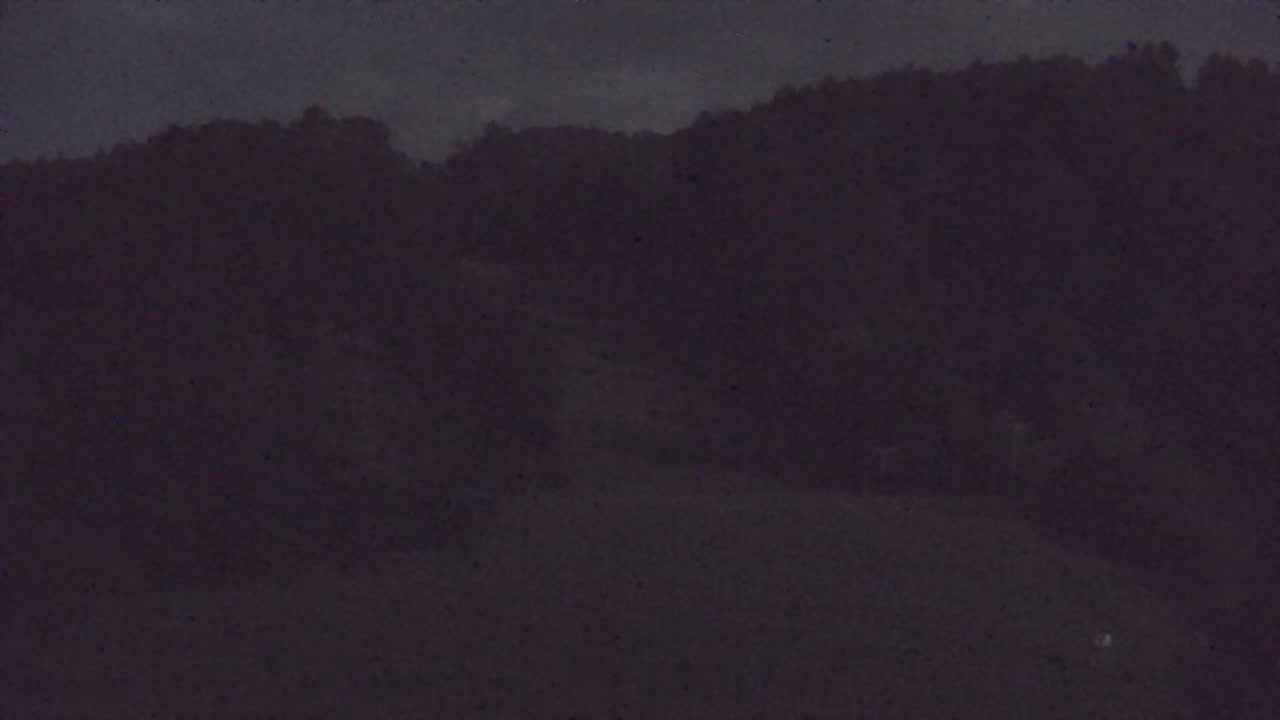 Webcam Lokve – The beauty of the Trnovo forest