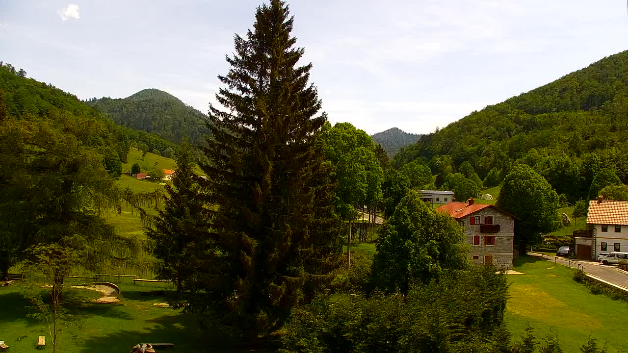 Camera en vivo Lokve – La belleza del bosque de Trnovo