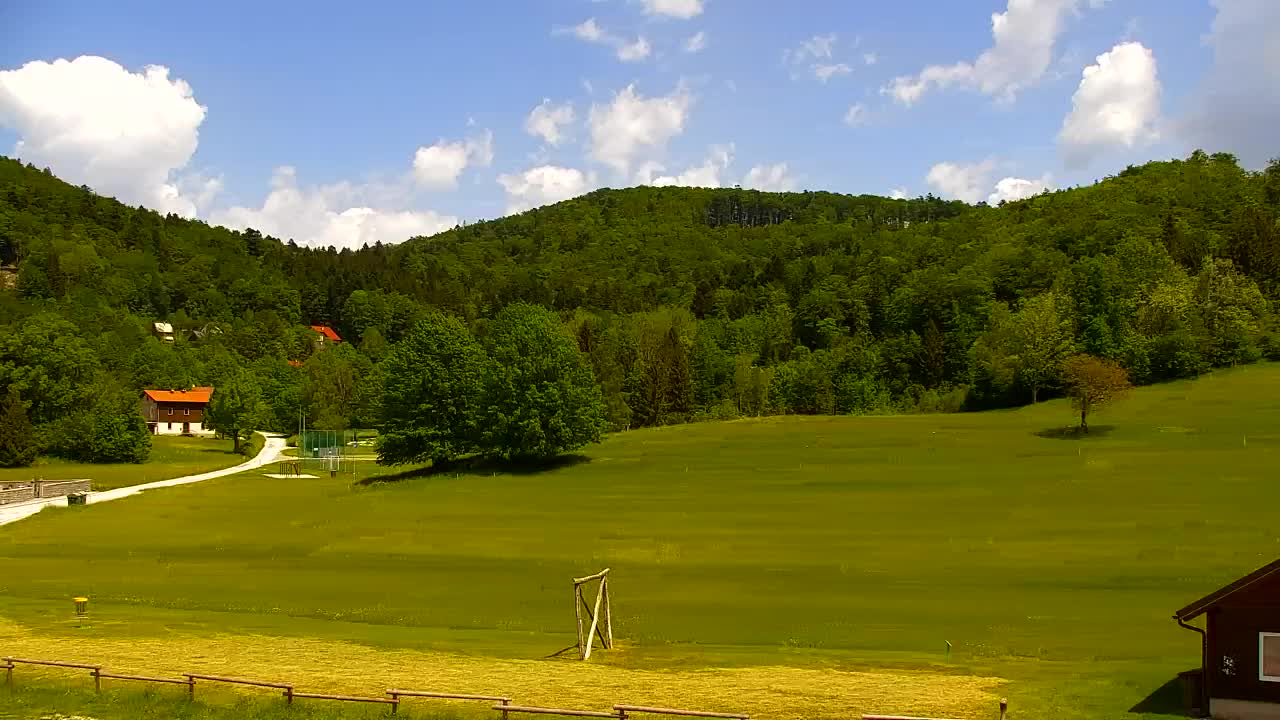 Webcam Lokve – La beauté de la forêt de Trnovo