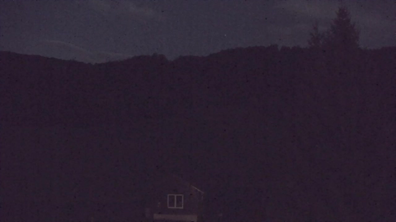 Webcam Loqua / Lokve – La bellezza della selva di Tarnova