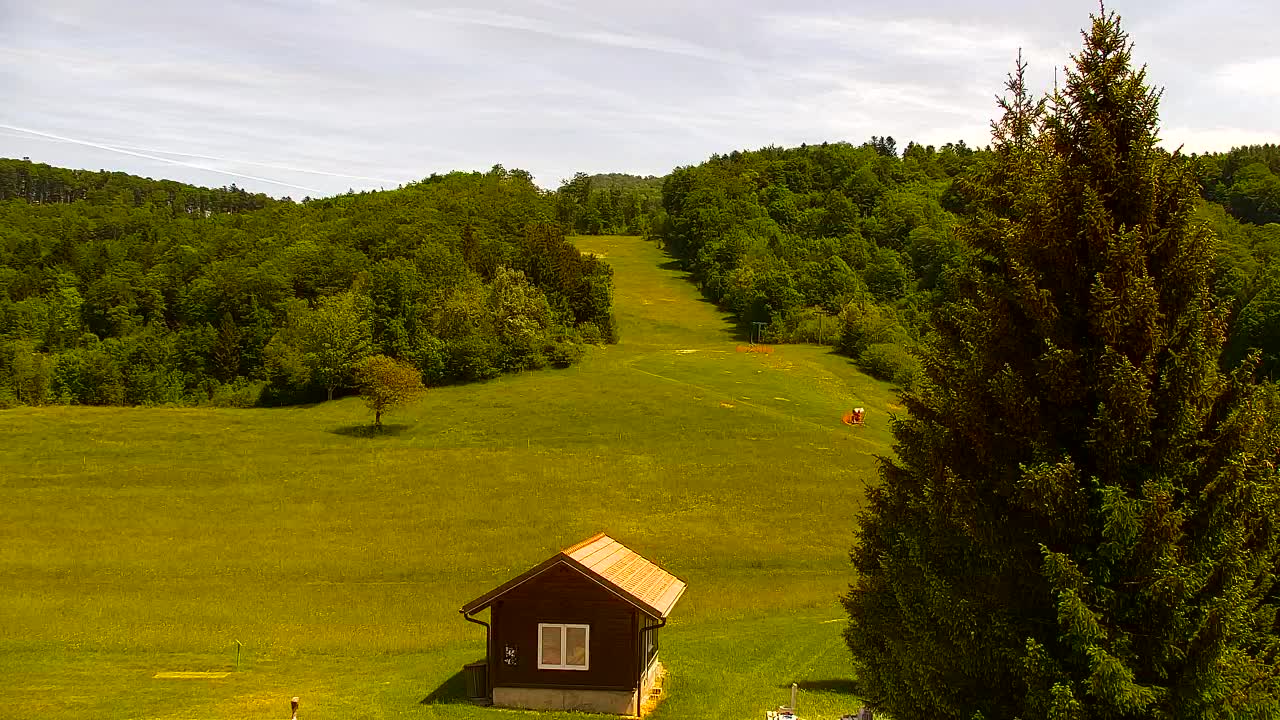Webcam Loqua / Lokve – La bellezza della selva di Tarnova