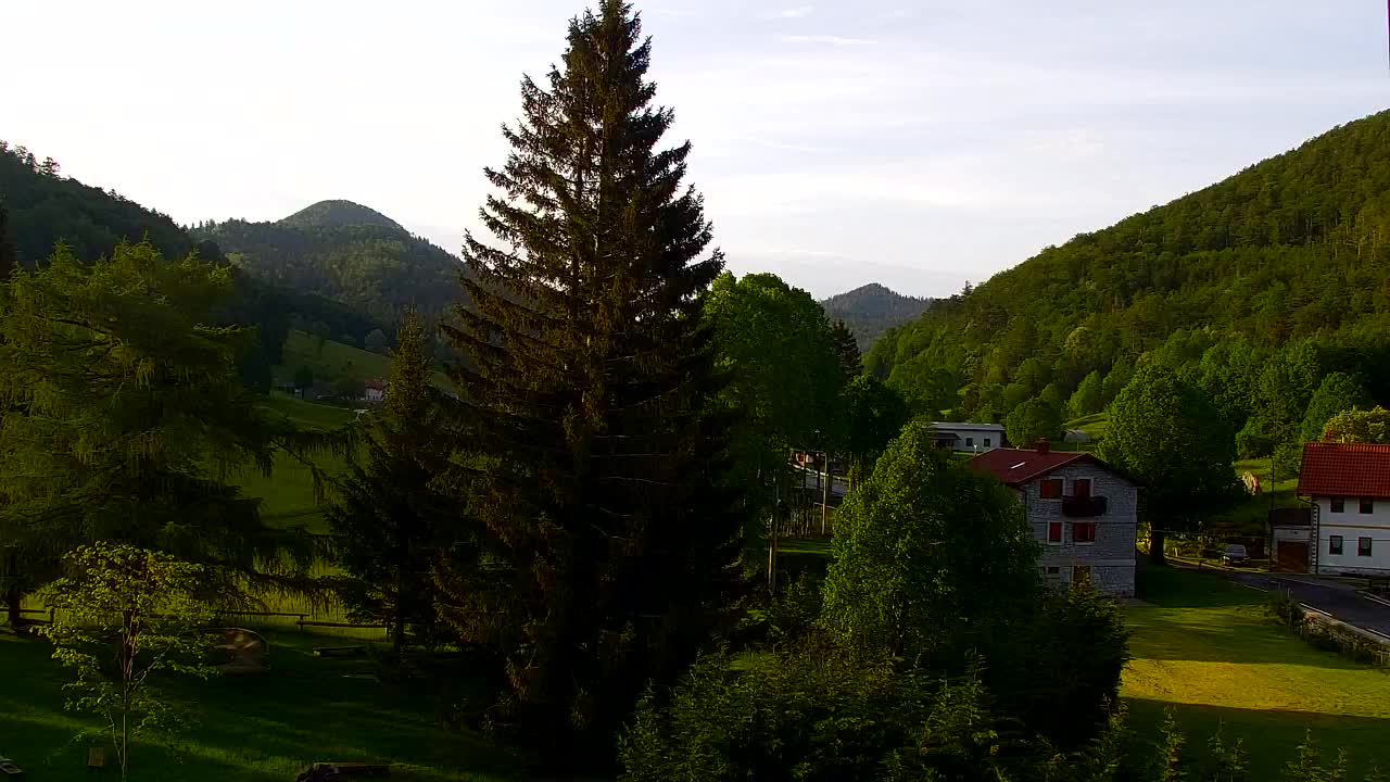 Webcam Lokve – The beauty of the Trnovo forest