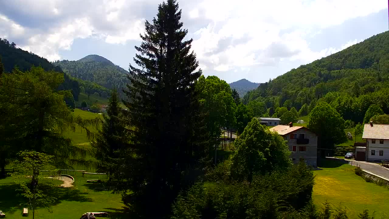 Webcam Lokve – The beauty of the Trnovo forest