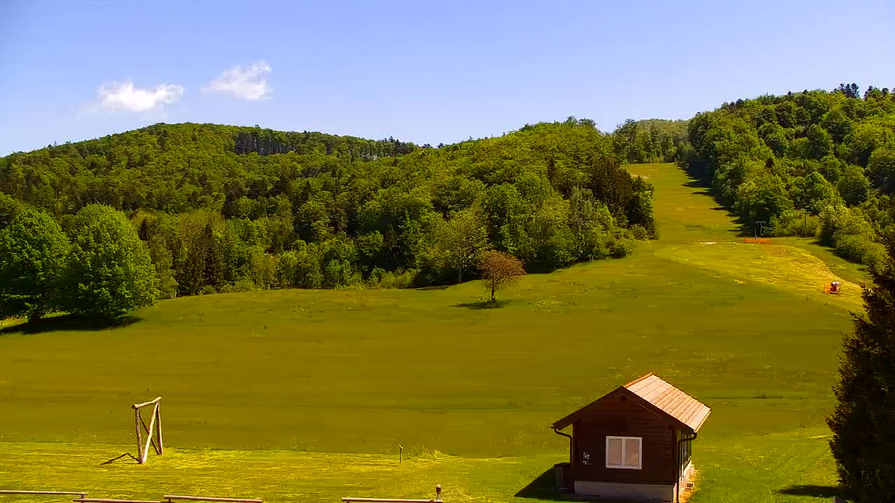 Webcam Lokve – The beauty of the Trnovo forest