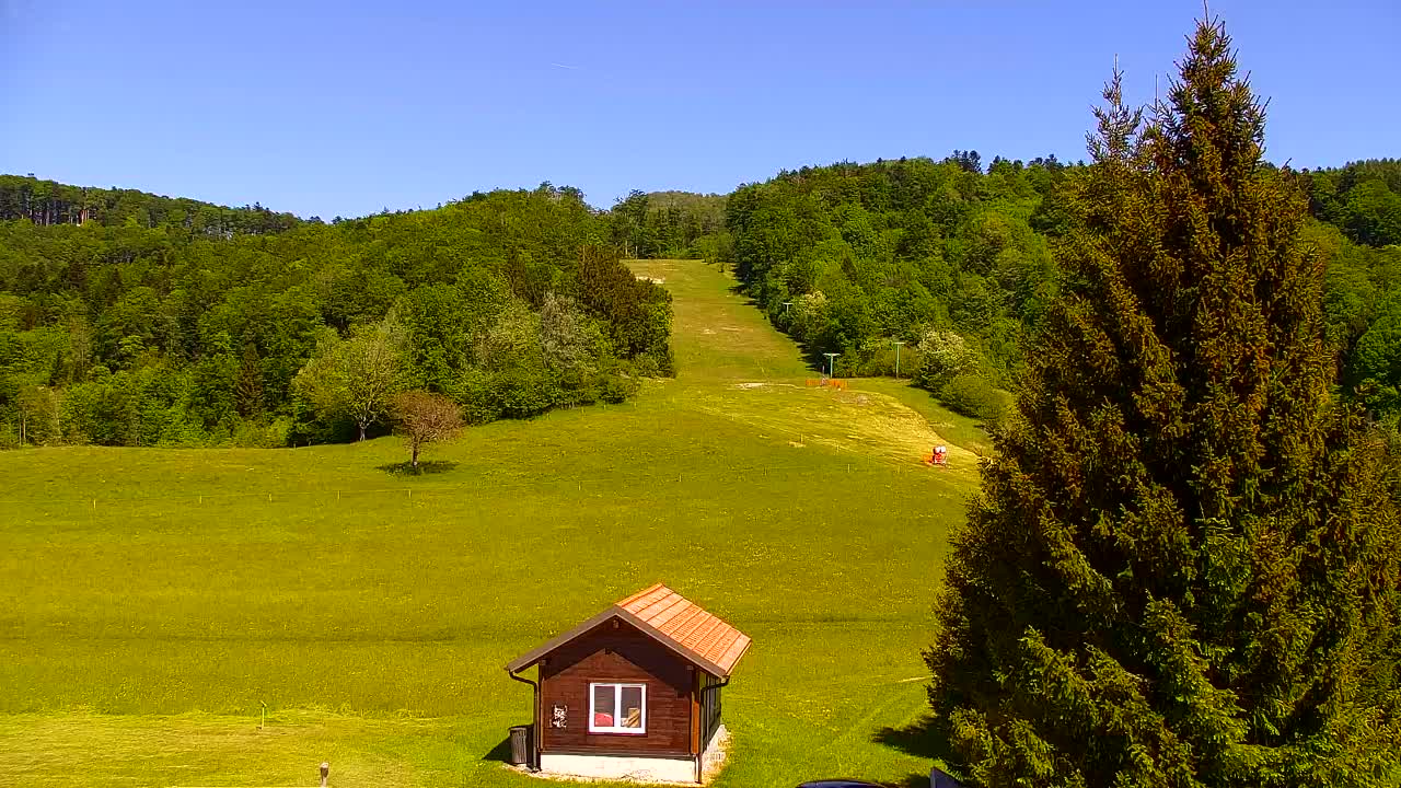 Webcam Lokve – The beauty of the Trnovo forest