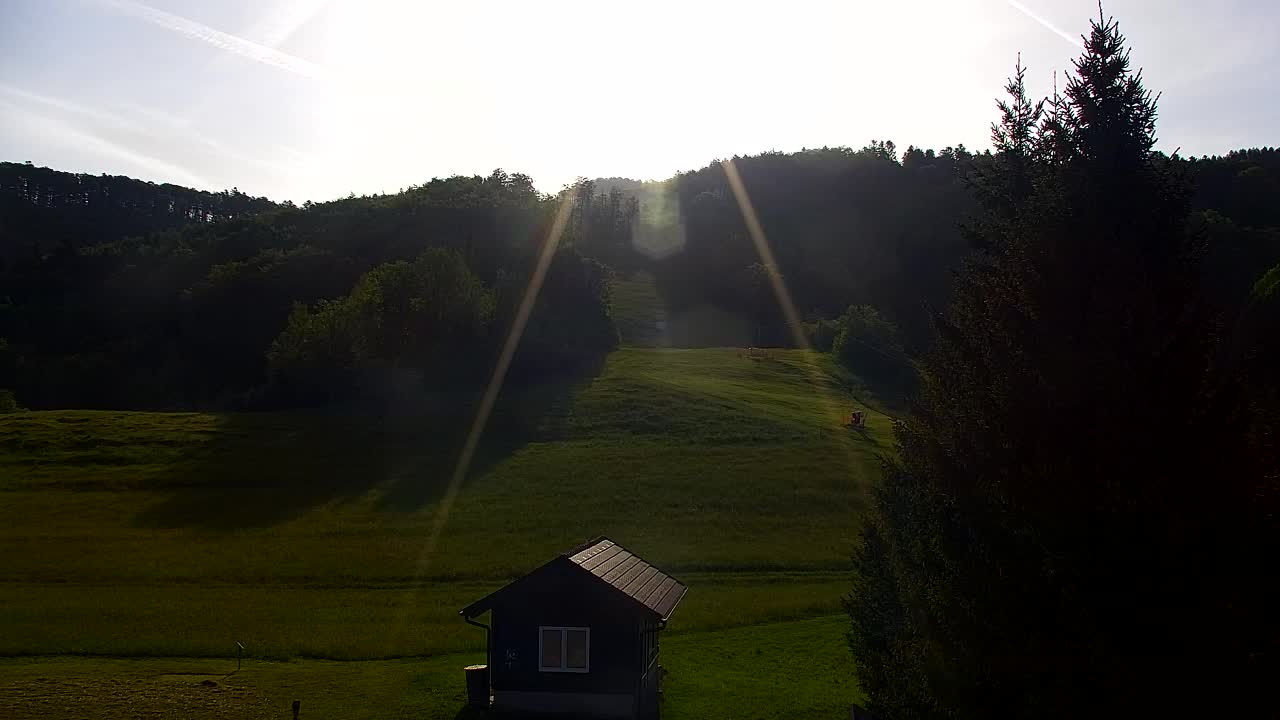 Webcam Lokve – La beauté de la forêt de Trnovo