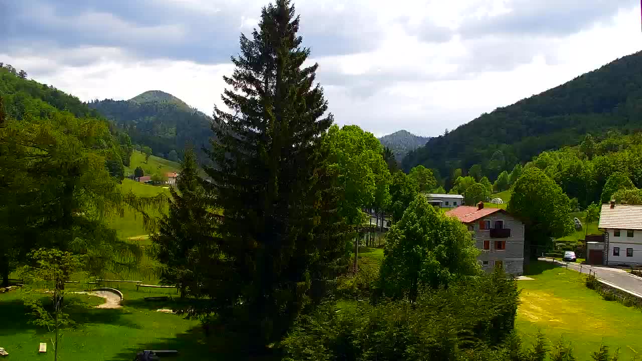 Camera en vivo Lokve – La belleza del bosque de Trnovo