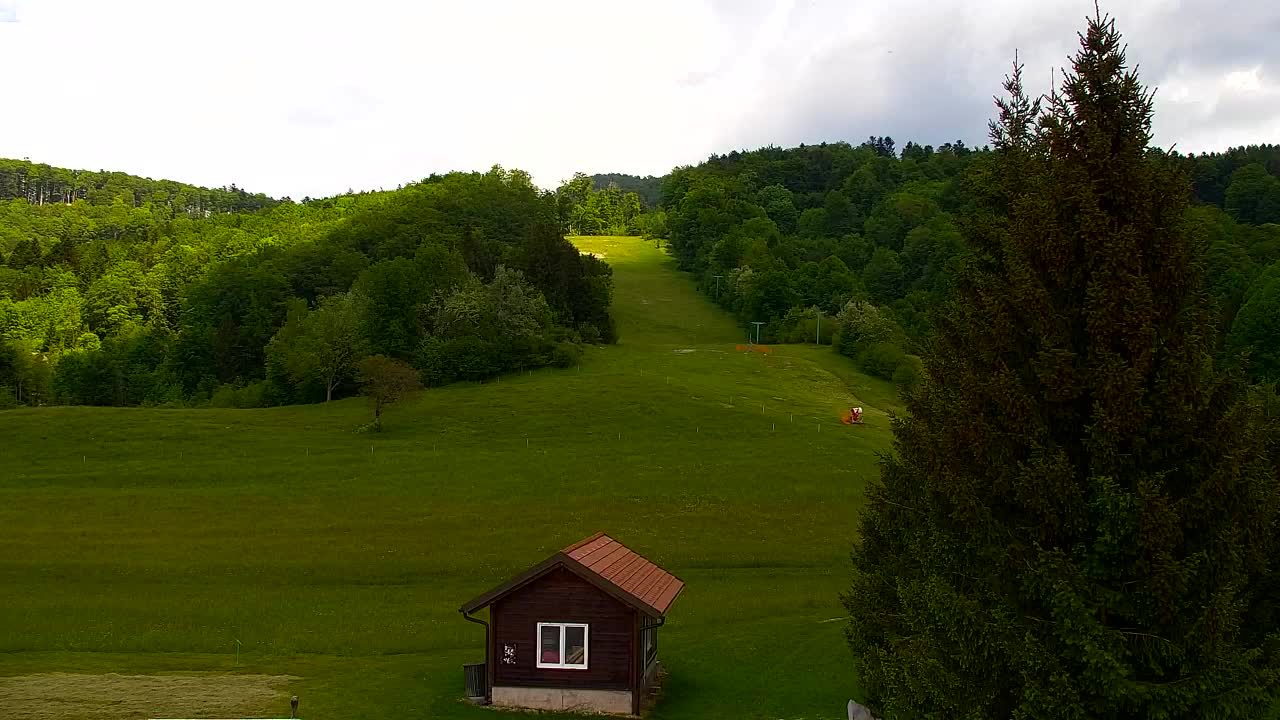 Webcam Lokve – La beauté de la forêt de Trnovo