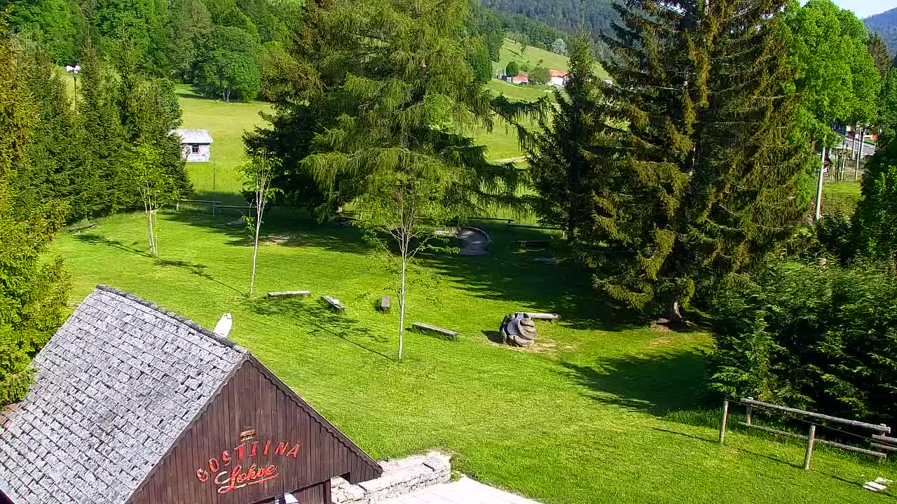 Camera en vivo Lokve – La belleza del bosque de Trnovo
