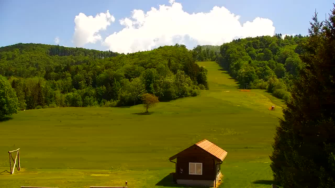 Webcam Lokve – The beauty of the Trnovo forest