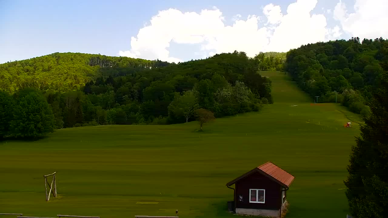 Webcam Loqua / Lokve – La bellezza della selva di Tarnova