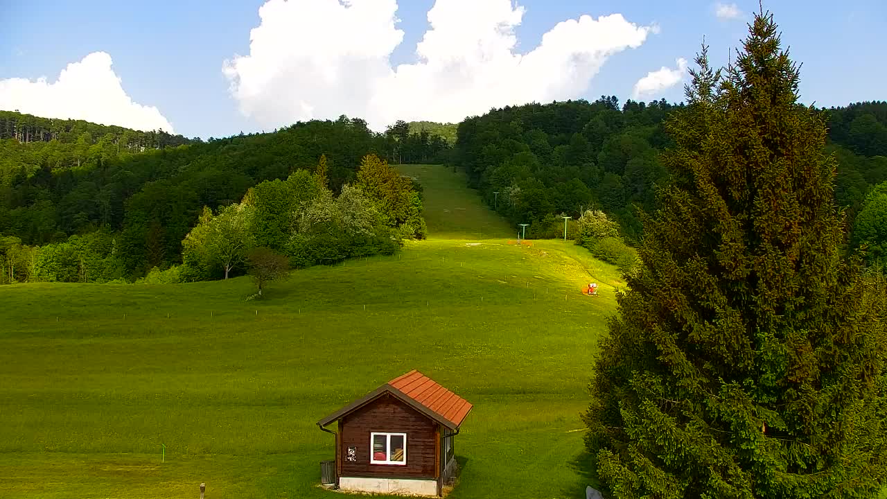 Webcam Loqua / Lokve – La bellezza della selva di Tarnova