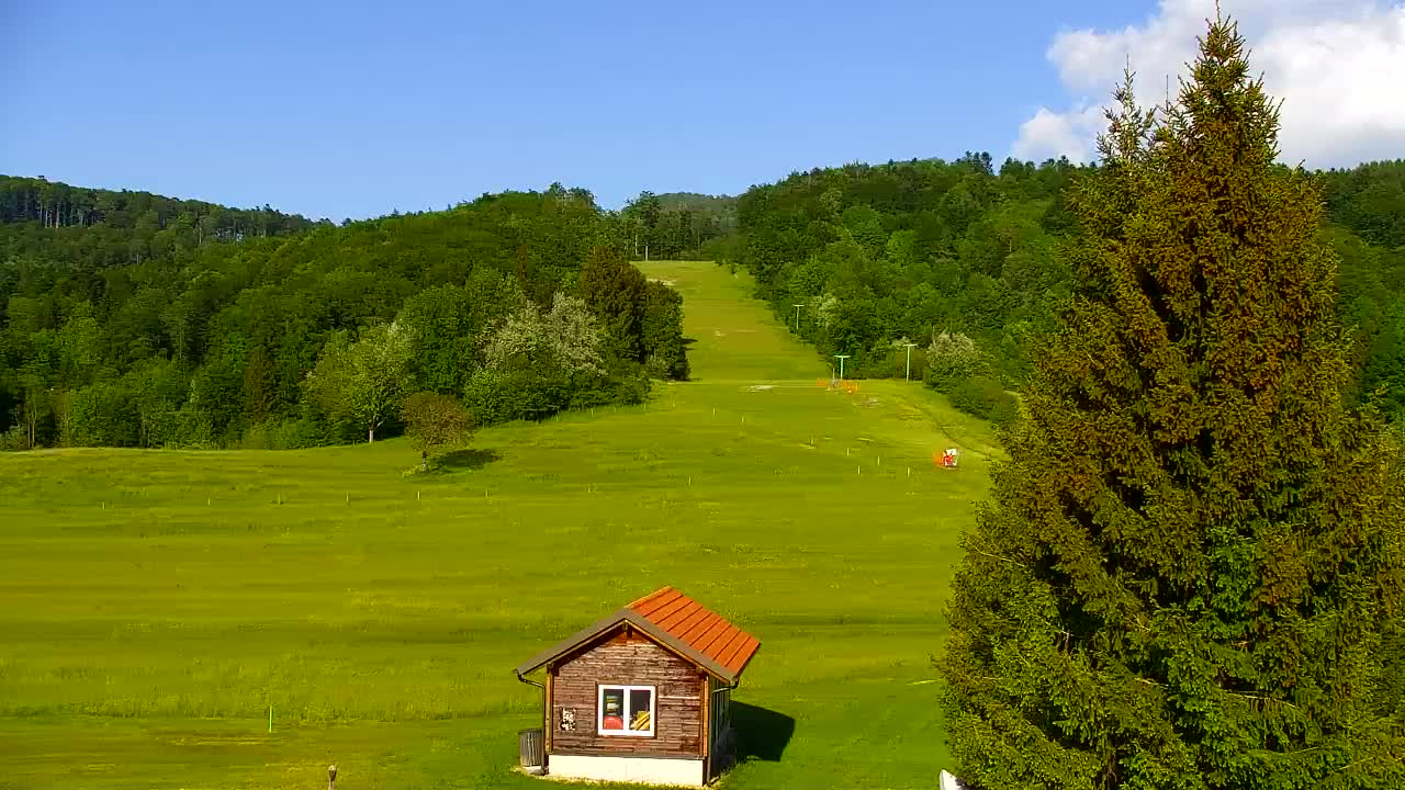 Webcam Loqua / Lokve – La bellezza della selva di Tarnova
