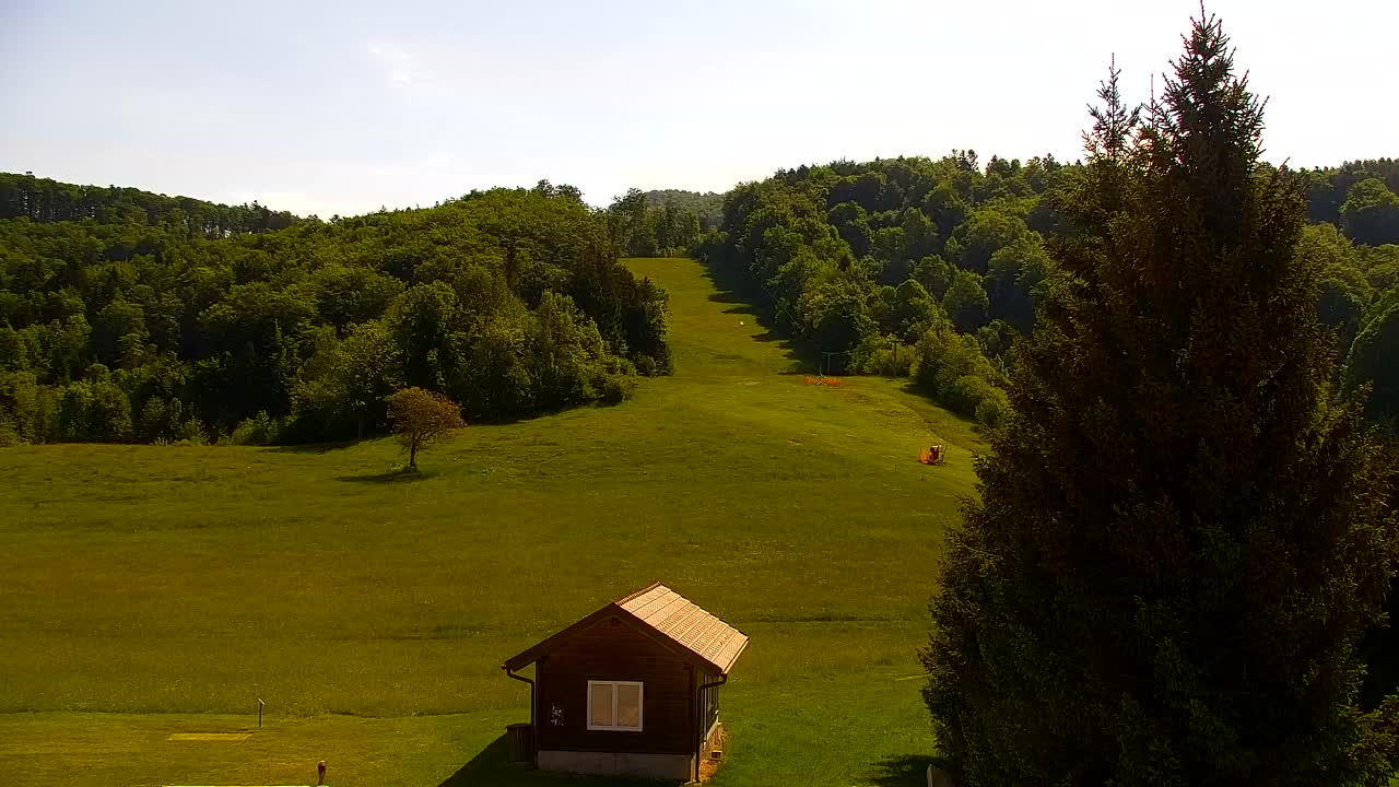 Webcam Lokve – The beauty of the Trnovo forest