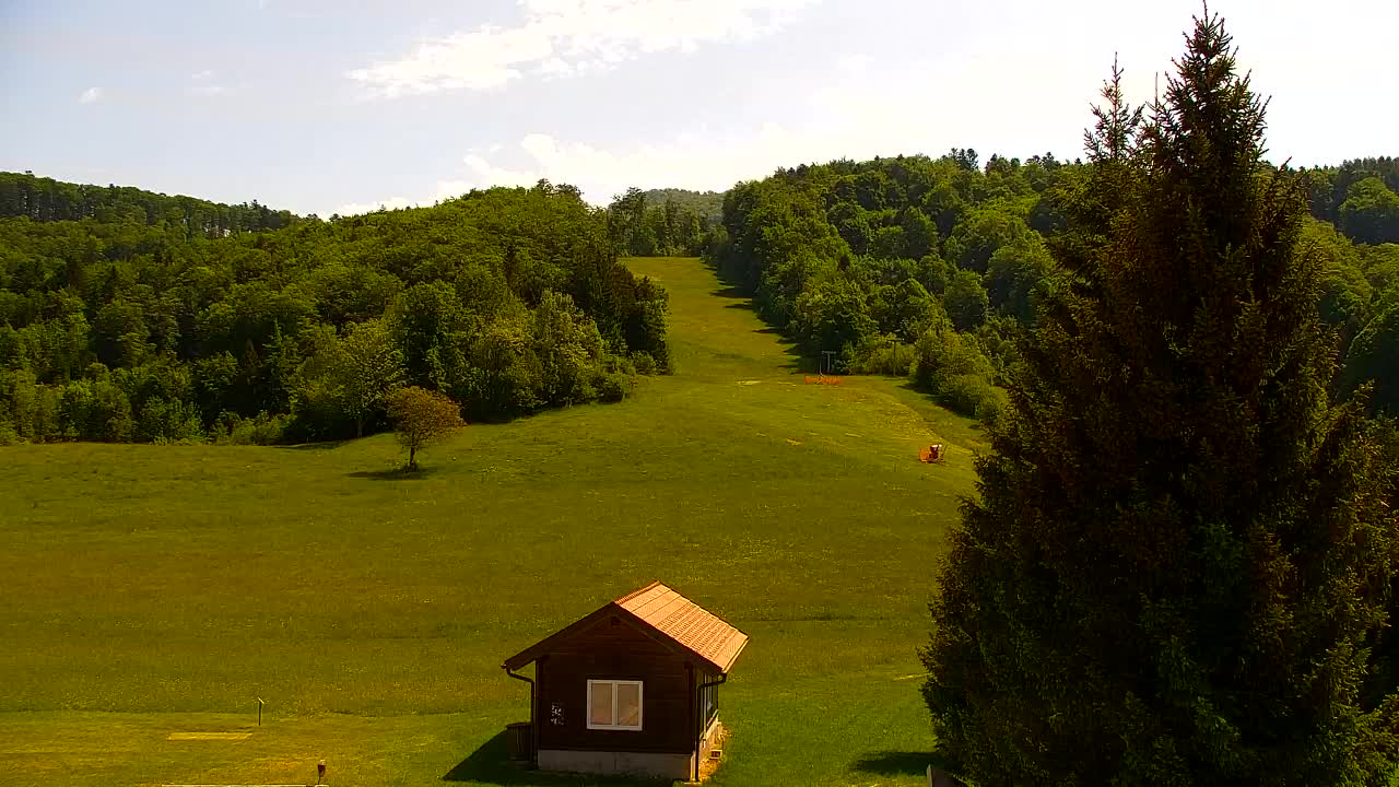 Webcam Lokve – The beauty of the Trnovo forest