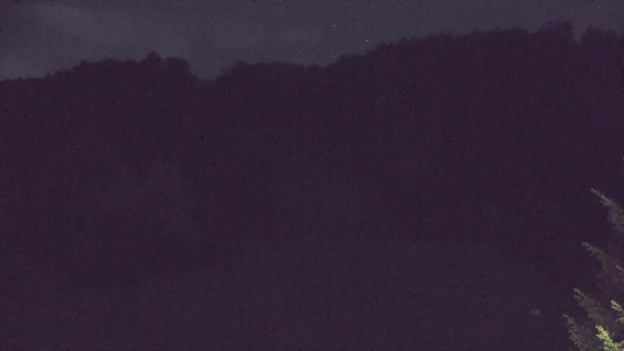 Webcam Lokve – La beauté de la forêt de Trnovo