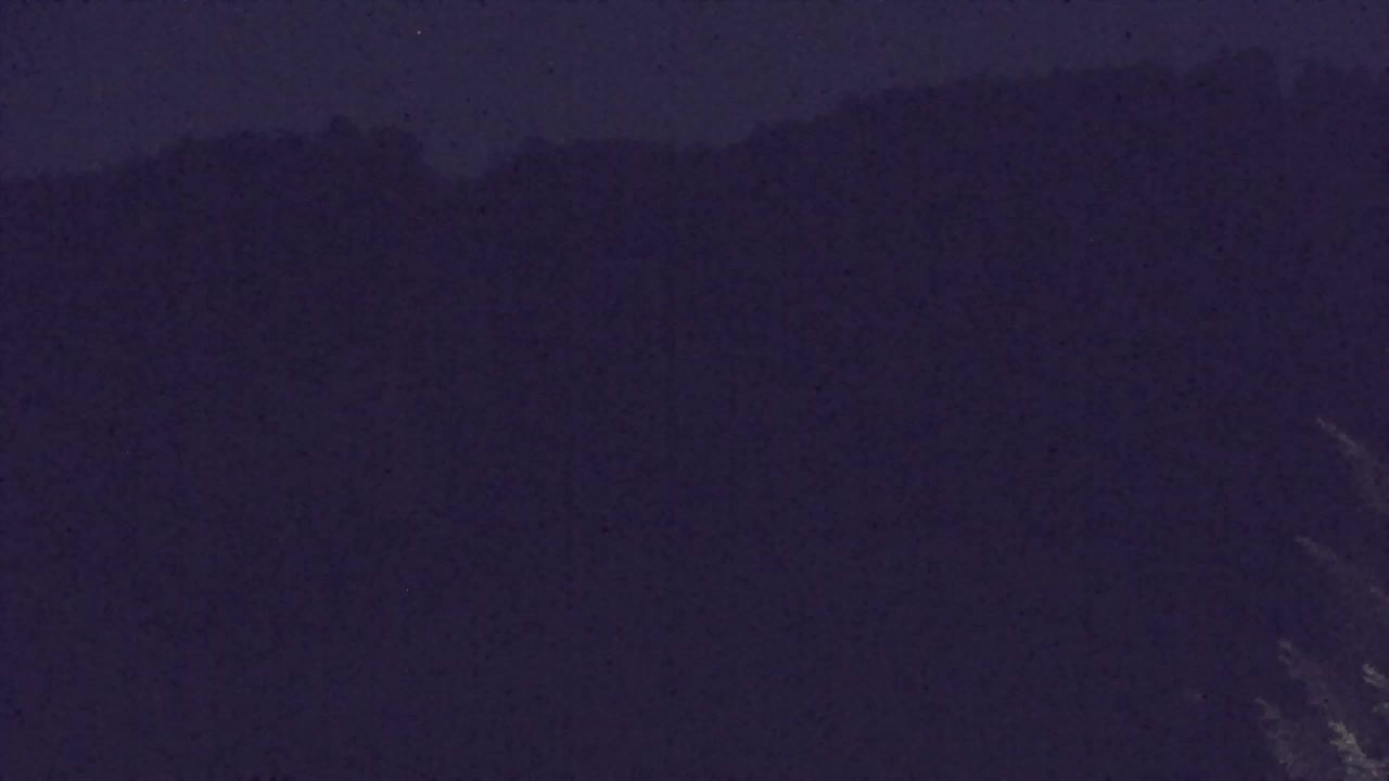 Webcam Lokve – The beauty of the Trnovo forest