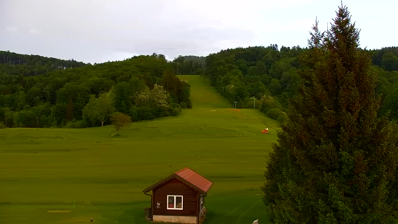 Webcam Lokve – Die Schönheit des Trnovo-Waldes