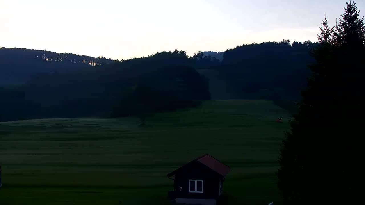 Webcam Lokve – The beauty of the Trnovo forest