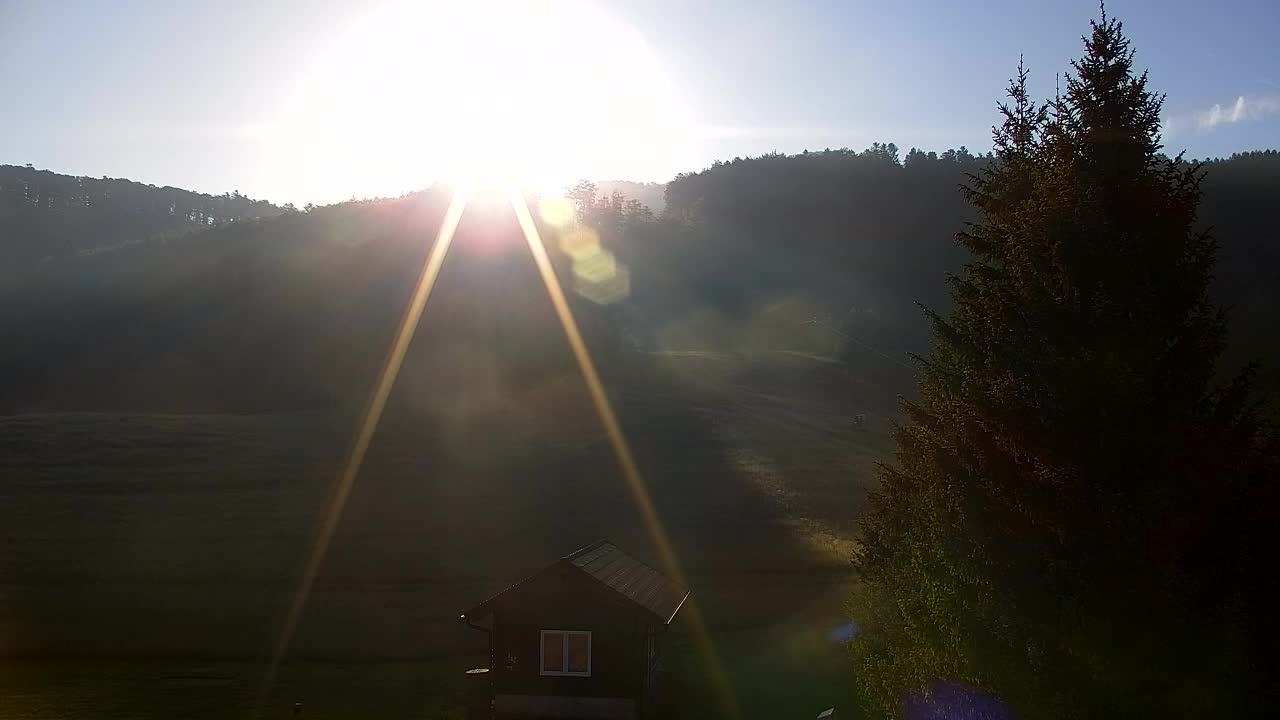 Webcam Loqua / Lokve – La bellezza della selva di Tarnova