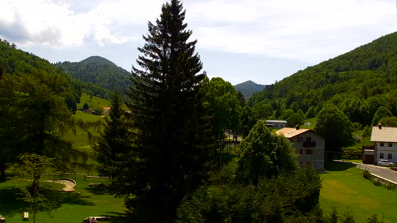 Camera en vivo Lokve – La belleza del bosque de Trnovo
