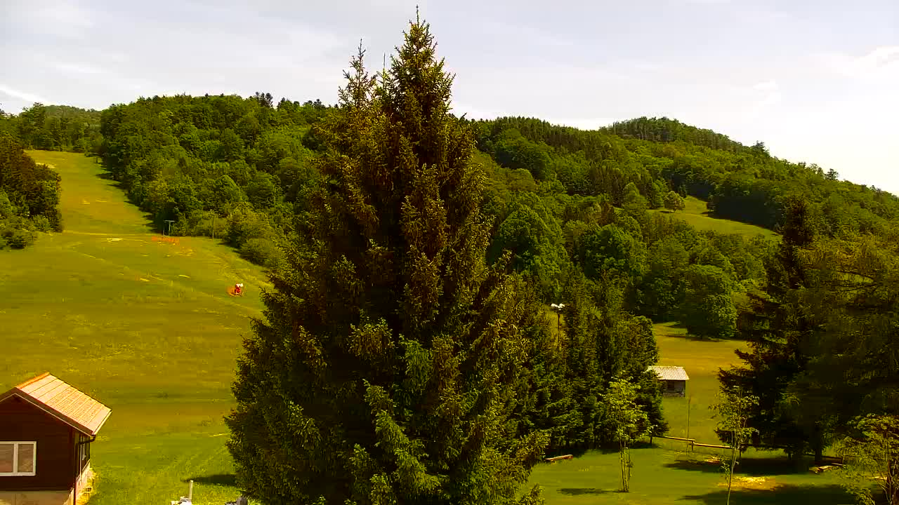 Camera en vivo Lokve – La belleza del bosque de Trnovo