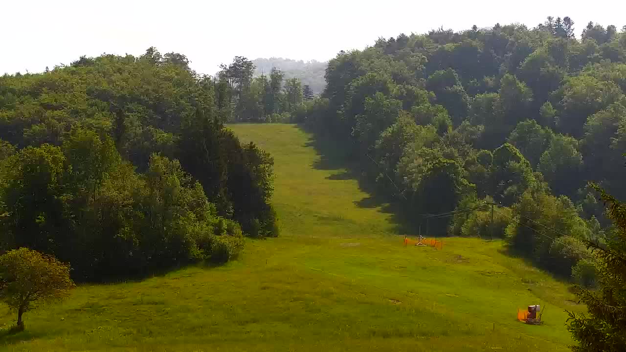 Webcam Lokve – The beauty of the Trnovo forest