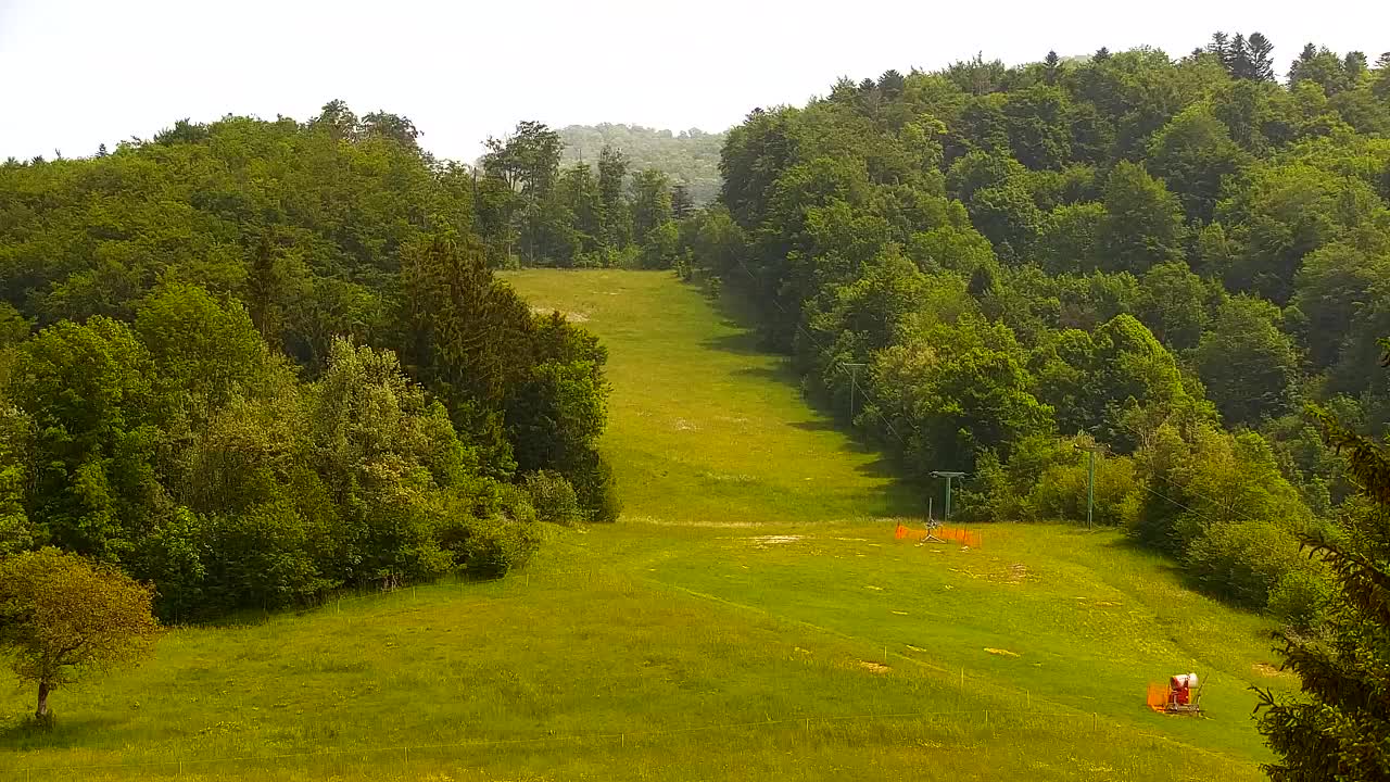 Webcam Loqua / Lokve – La bellezza della selva di Tarnova