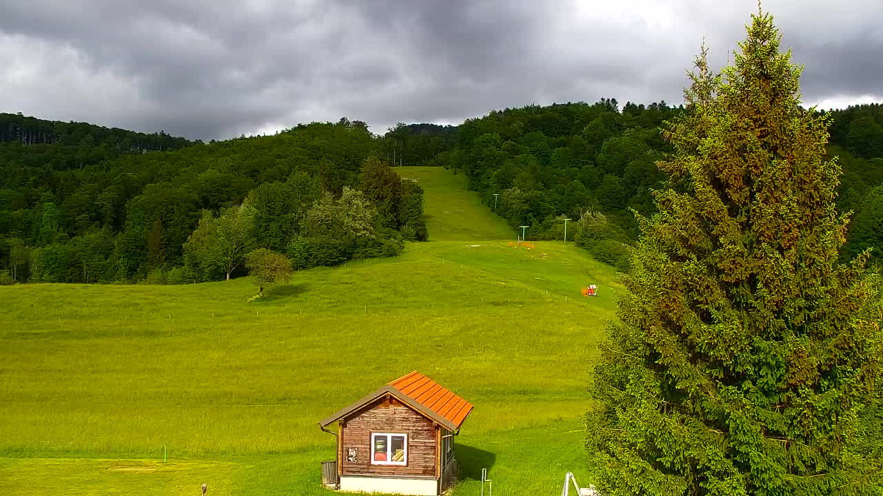 Webcam Loqua / Lokve – La bellezza della selva di Tarnova