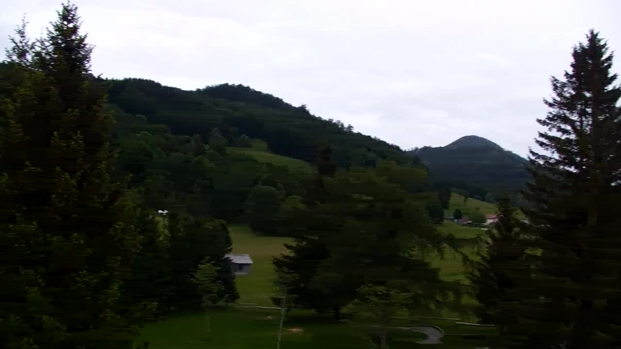 Webcam Lokve – The beauty of the Trnovo forest