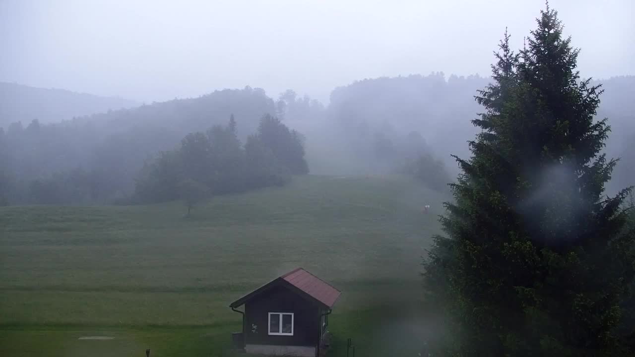 Webcam Lokve – The beauty of the Trnovo forest