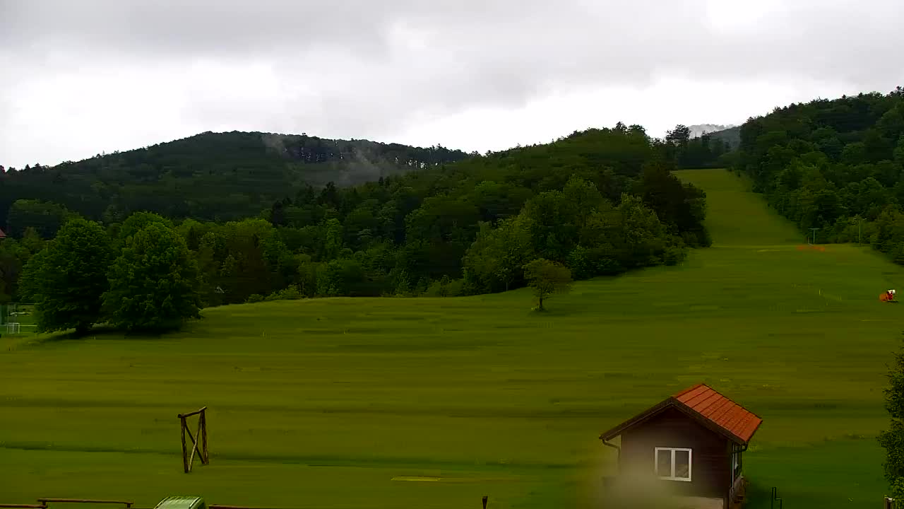 Webcam Loqua / Lokve – La bellezza della selva di Tarnova