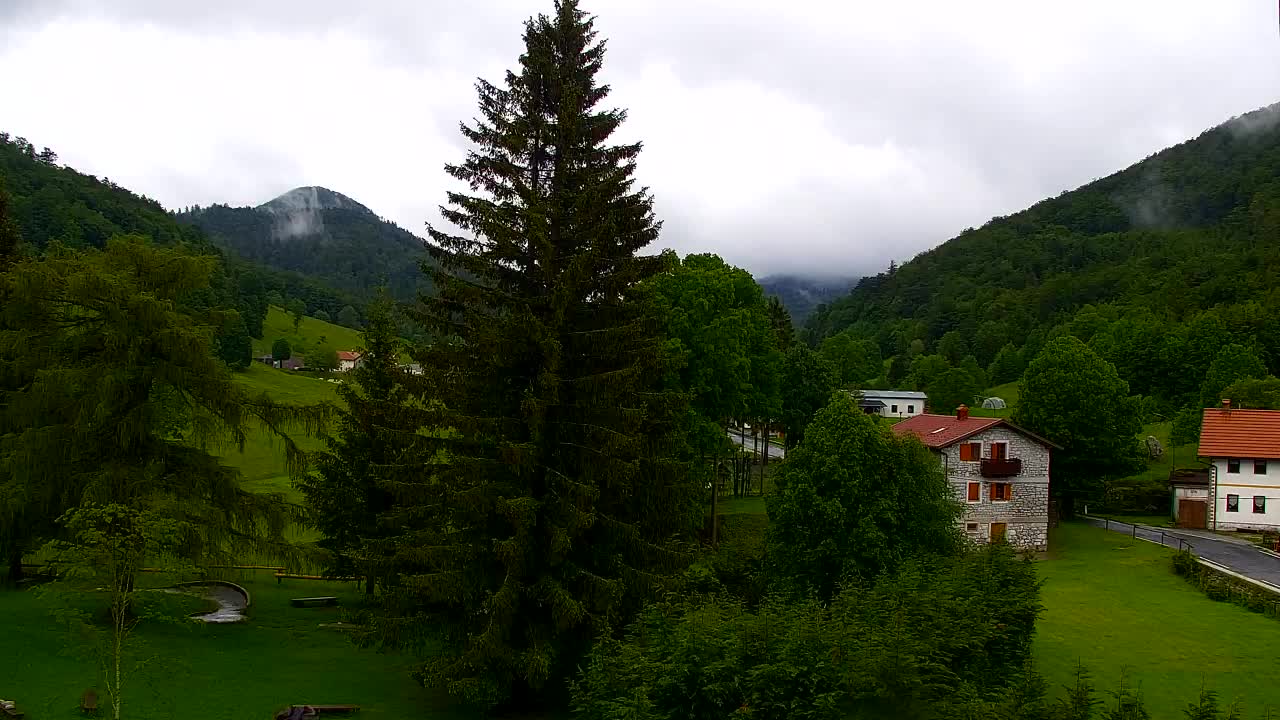 Webcam Lokve – La beauté de la forêt de Trnovo