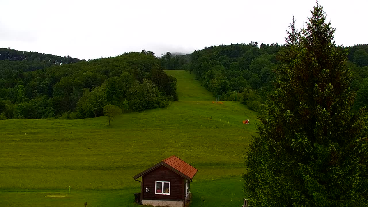 Webcam Lokve – Die Schönheit des Trnovo-Waldes