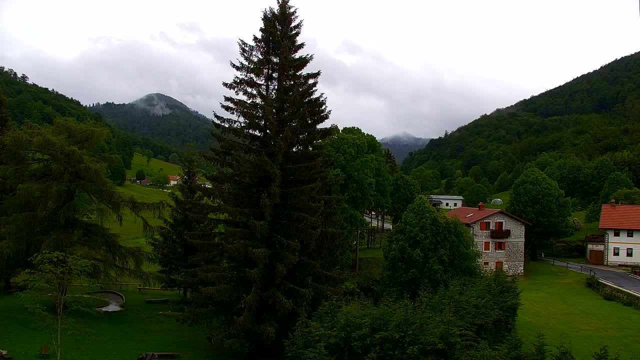 Webcam Lokve – The beauty of the Trnovo forest