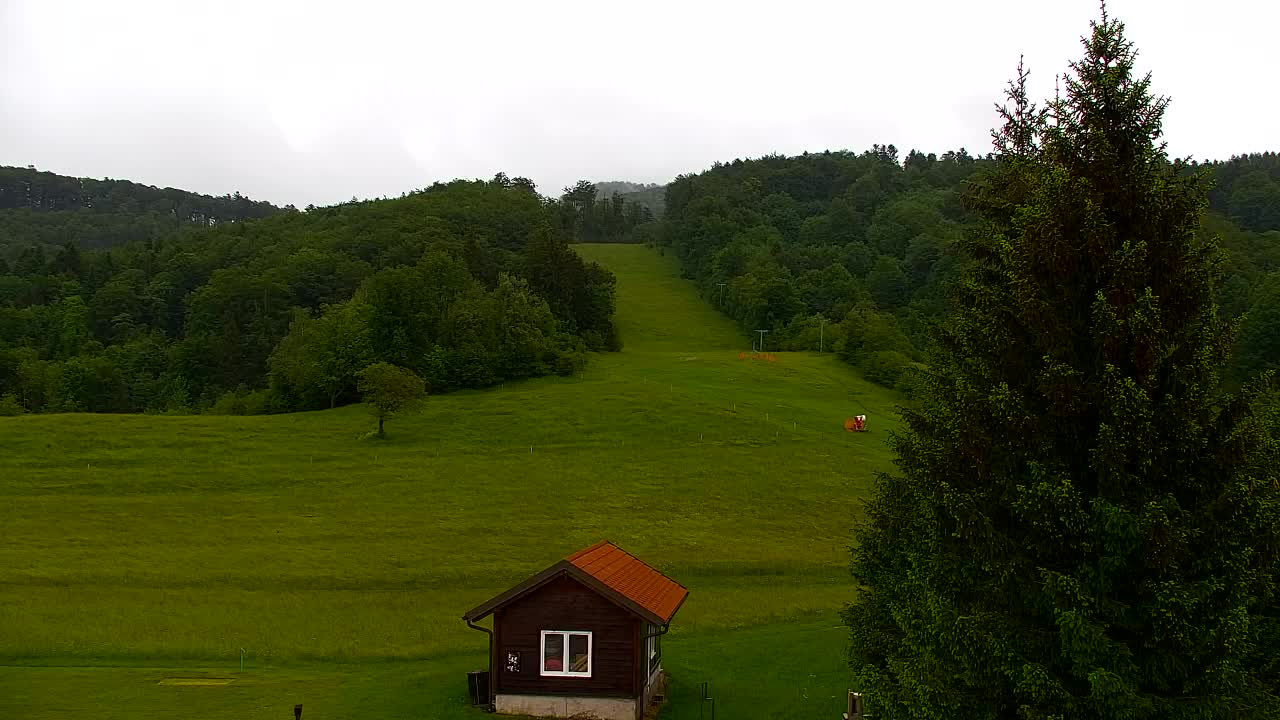 Webcam Lokve – La beauté de la forêt de Trnovo