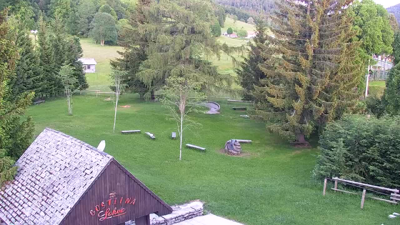 Webcam Lokve – The beauty of the Trnovo forest