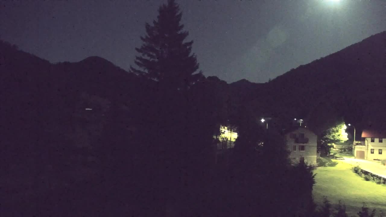 Webcam Lokve – La beauté de la forêt de Trnovo