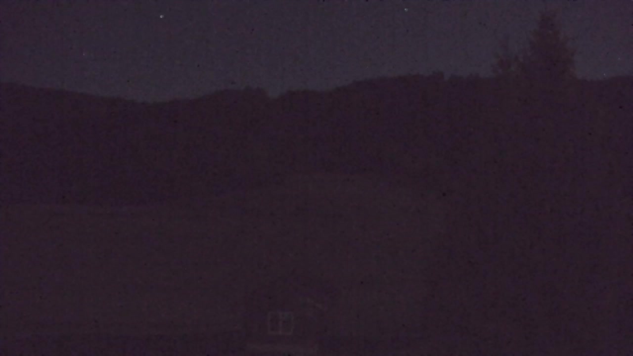 Webcam Loqua / Lokve – La bellezza della selva di Tarnova