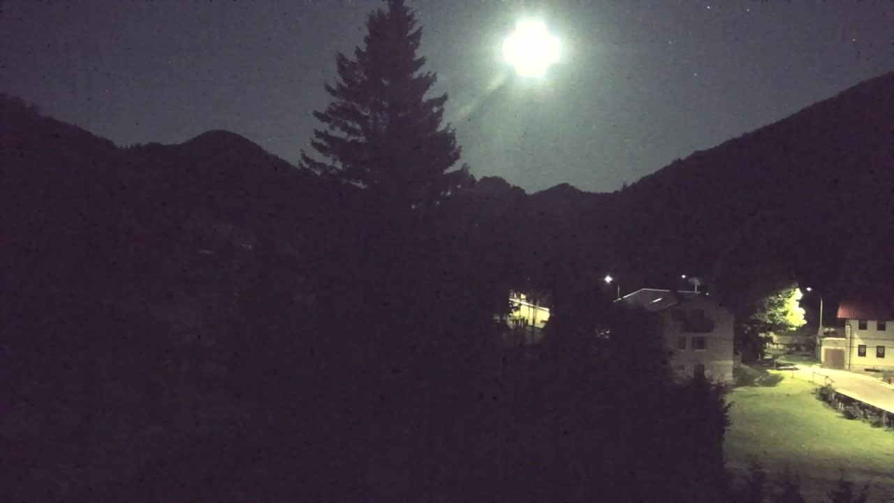 Webcam Lokve – La beauté de la forêt de Trnovo