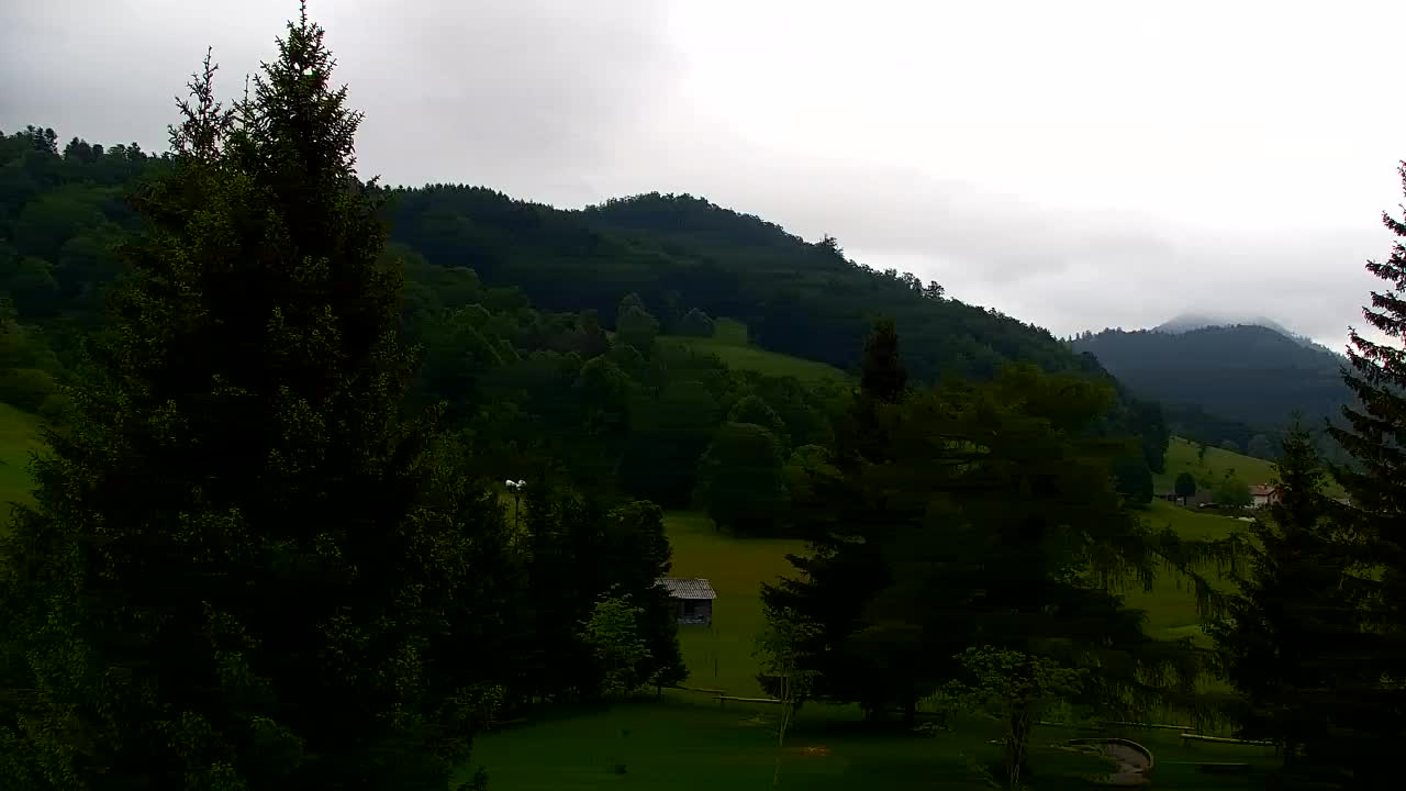 Webcam Loqua / Lokve – La bellezza della selva di Tarnova