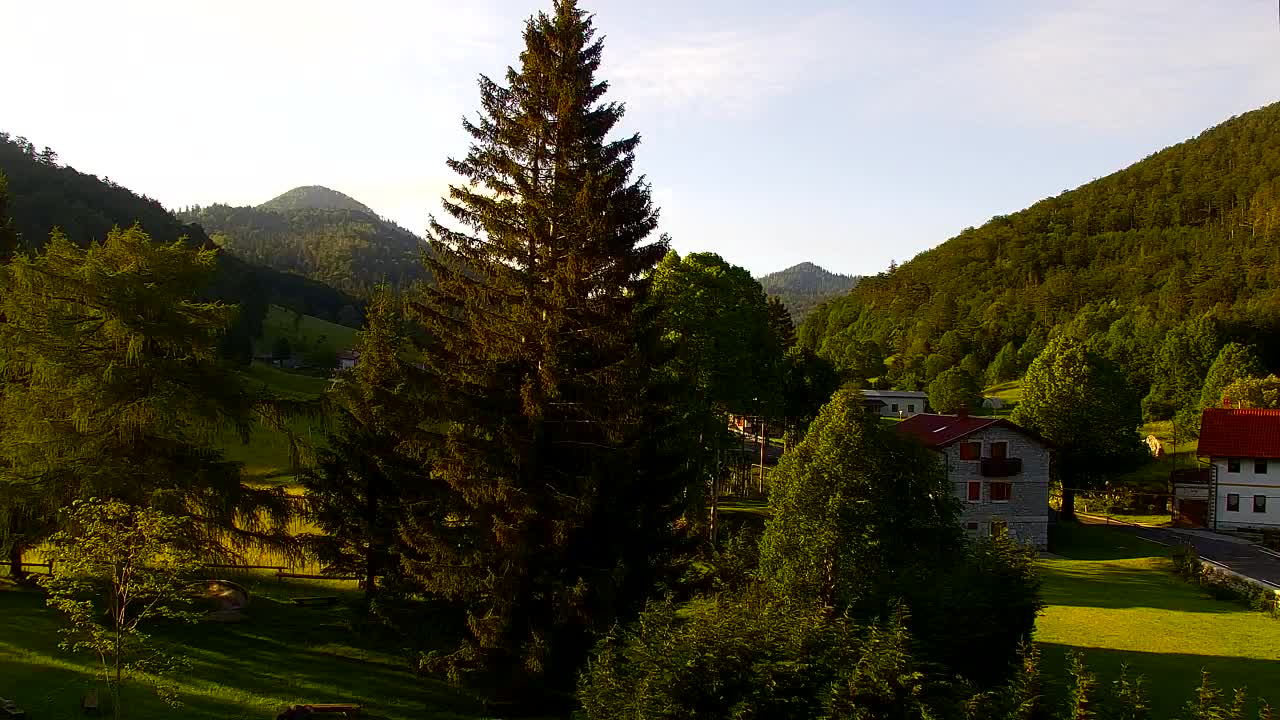Webcam Lokve – The beauty of the Trnovo forest