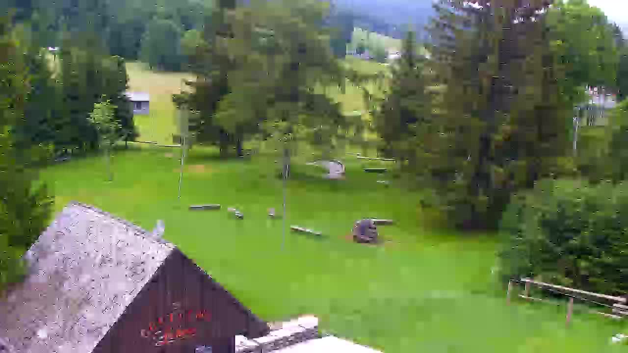 Webcam Lokve – The beauty of the Trnovo forest
