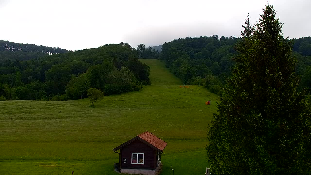 Webcam Lokve – The beauty of the Trnovo forest