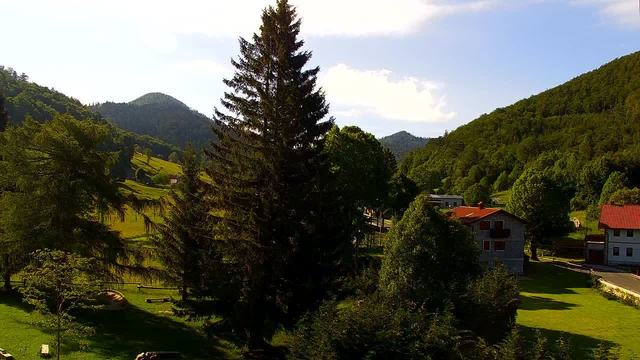 Camera en vivo Lokve – La belleza del bosque de Trnovo