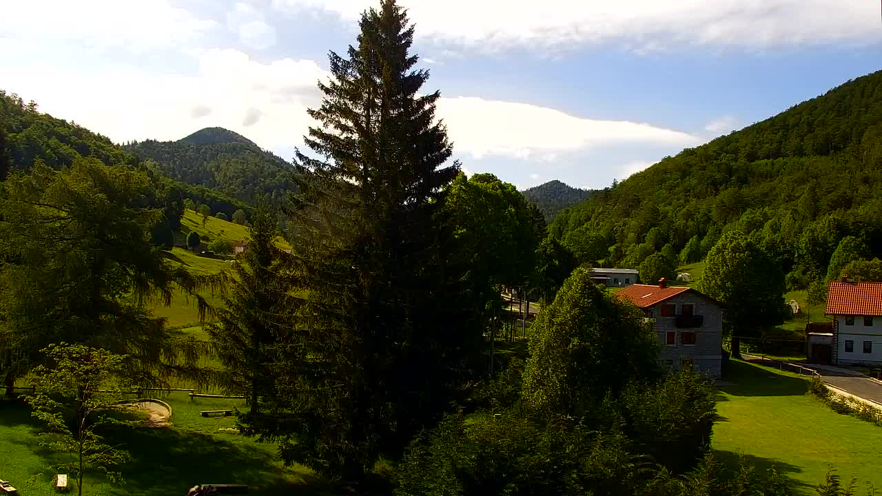 Webcam Loqua / Lokve – La bellezza della selva di Tarnova