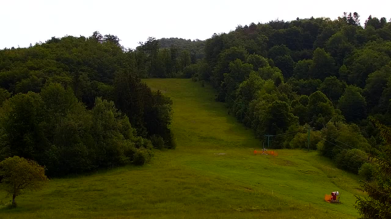 Webcam Loqua / Lokve – La bellezza della selva di Tarnova