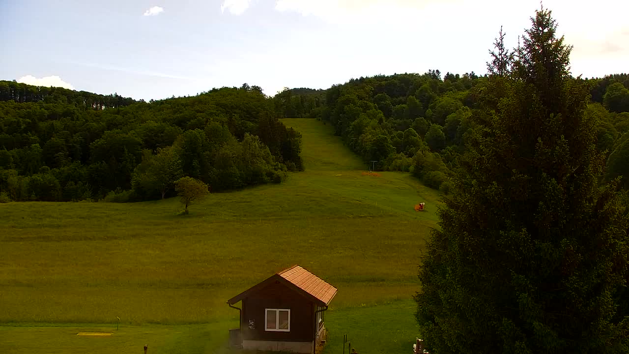 Camera en vivo Lokve – La belleza del bosque de Trnovo